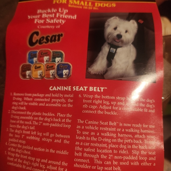 Seatbelt for dog - Picture 1 of 2